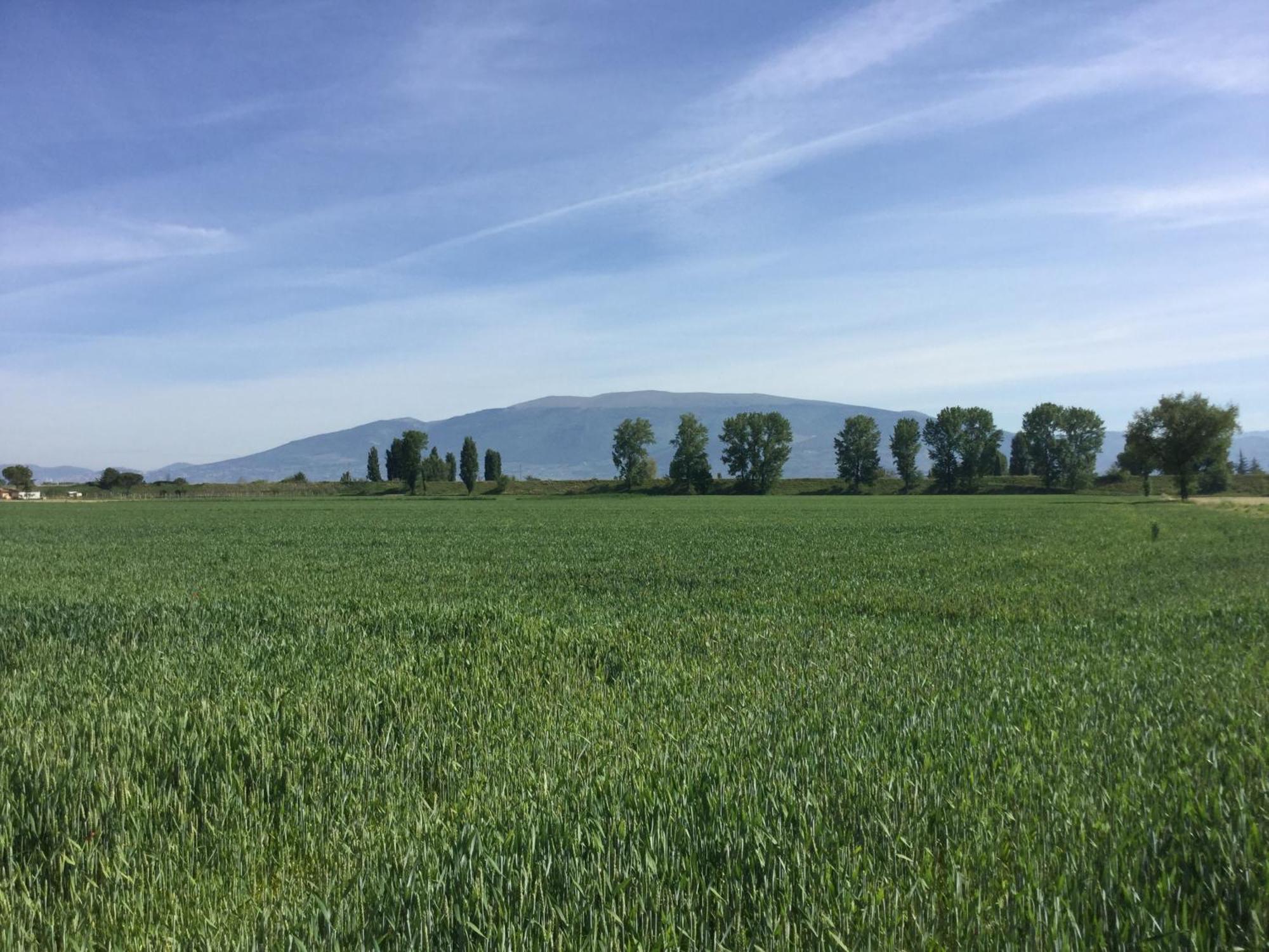 Villa Casale Morotti Bevagna Esterno foto